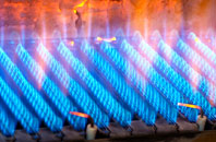 Llannon gas fired boilers